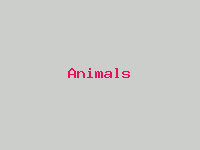 Animals