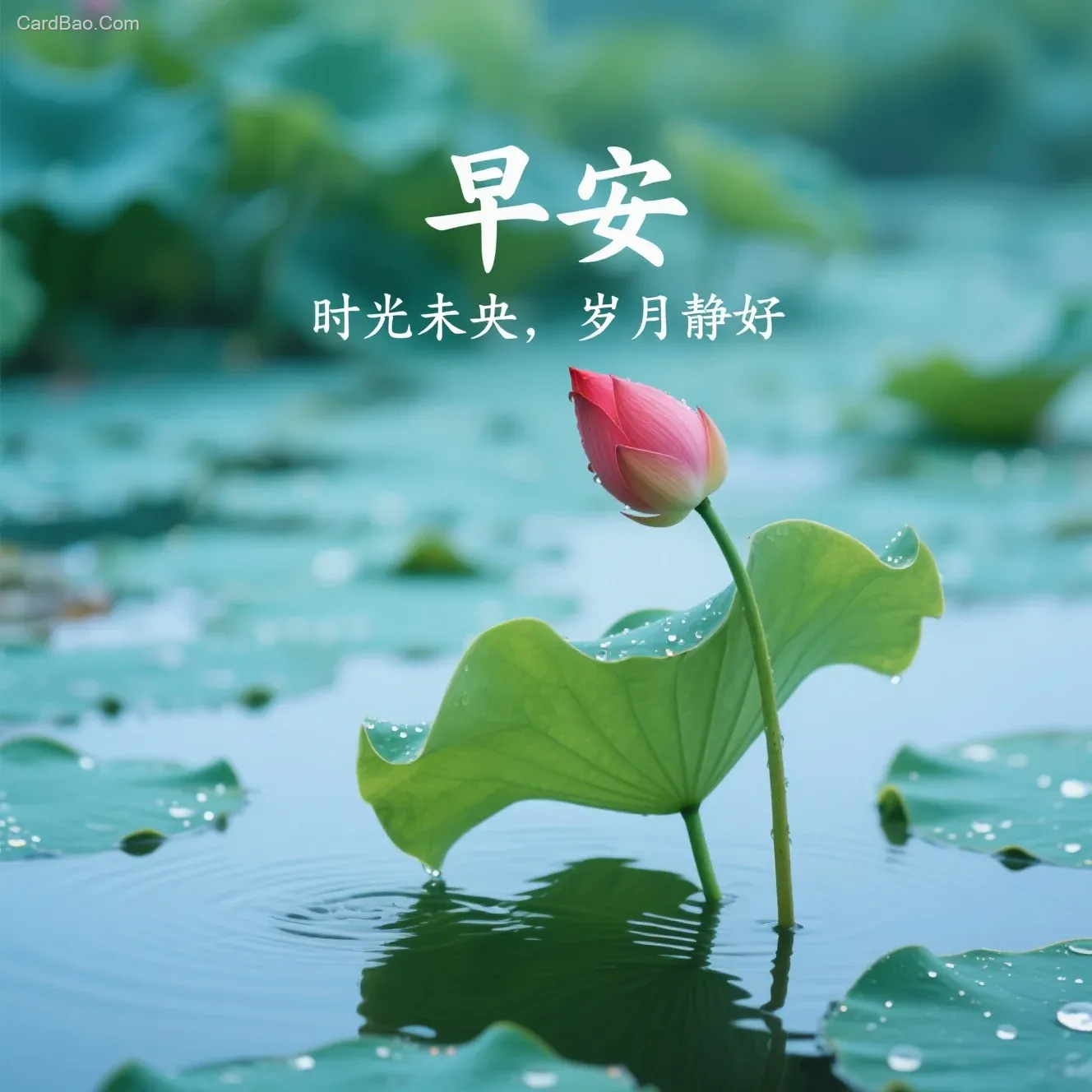 AI Image