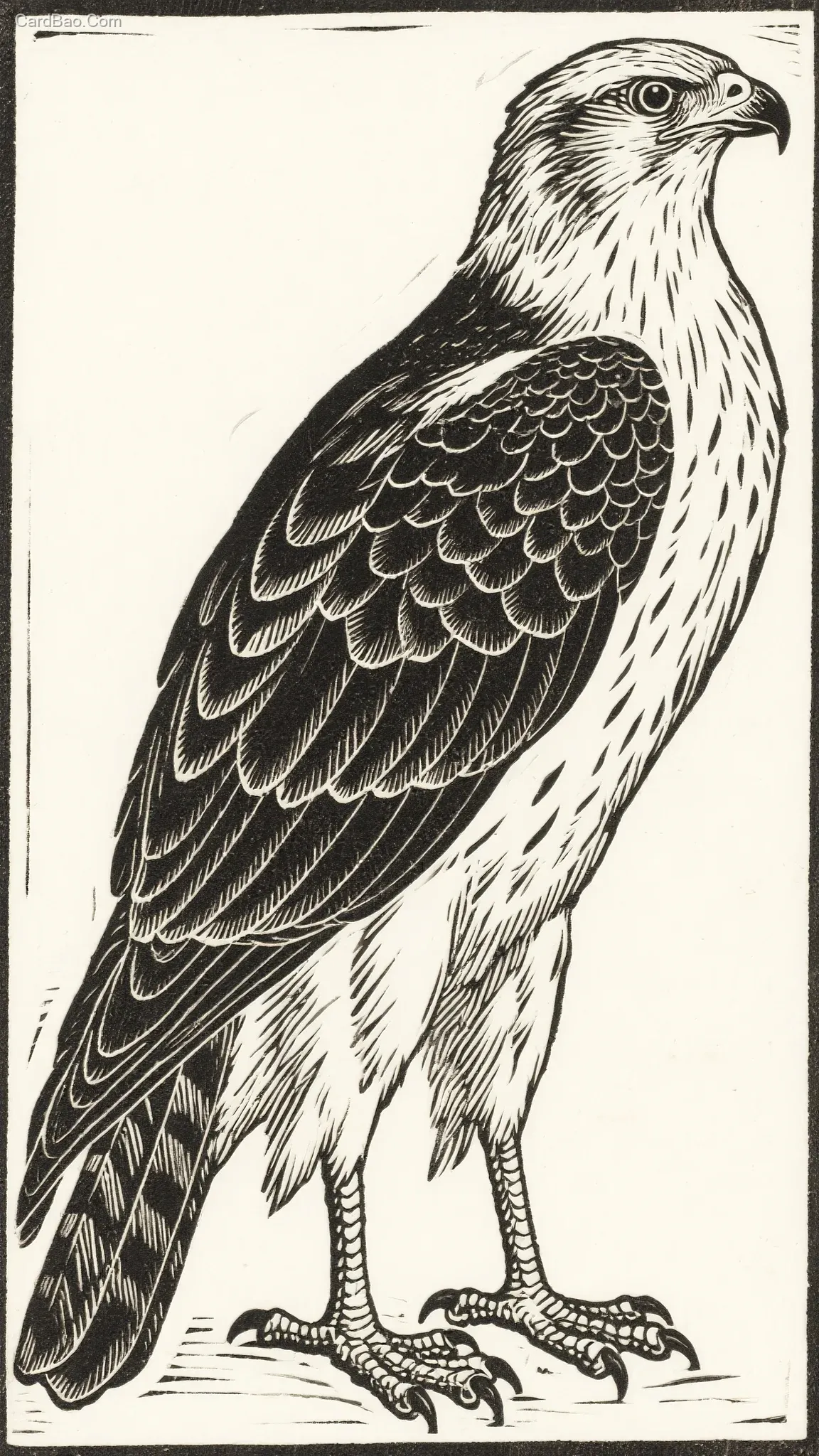 AI Image